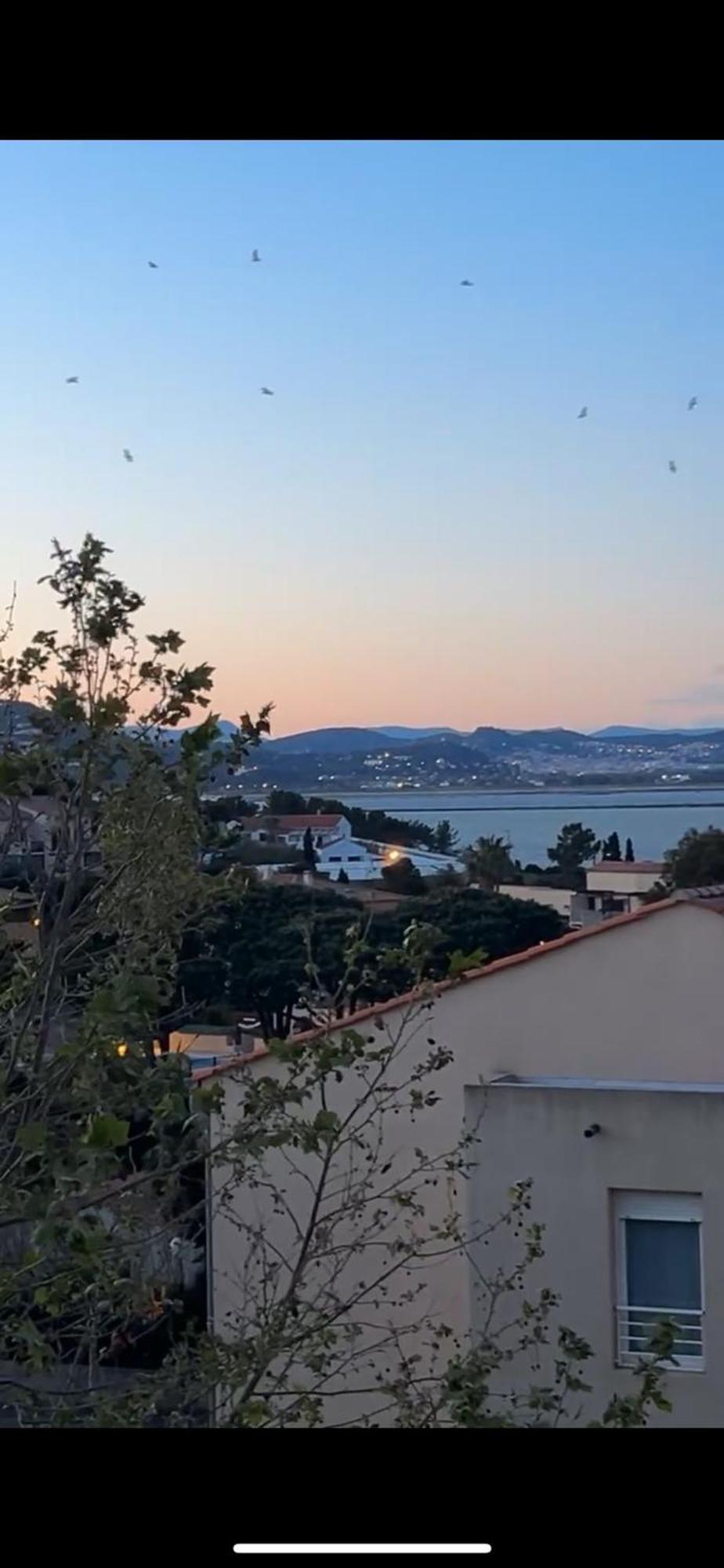 Superbe Duplex Refait A Neuf ! Appartement Hyères Buitenkant foto